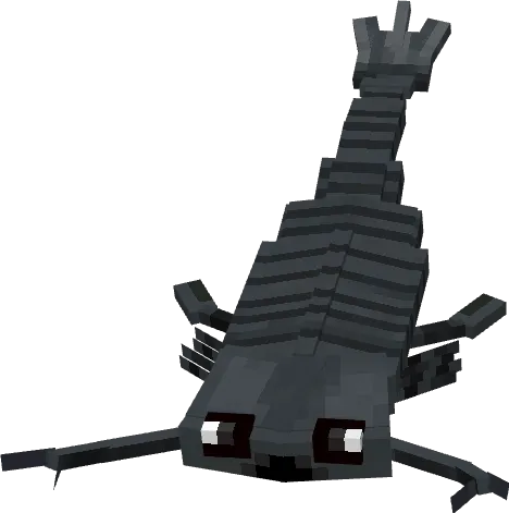 Вид джекелоптеруса