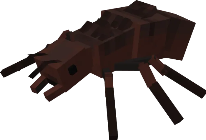 Вид титаномирмы