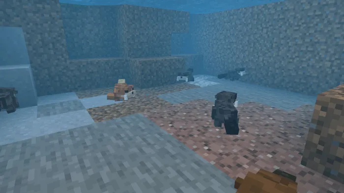 Выдры плавают