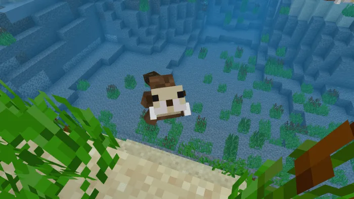 Выдра смотрит на игрока