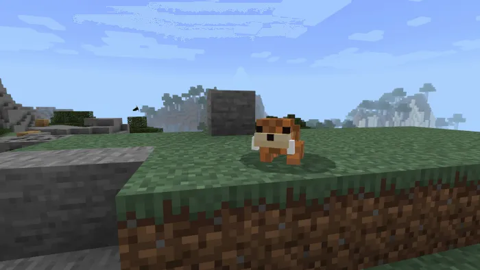 Выдра на суше