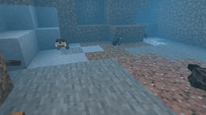 Стайка выдр в воде