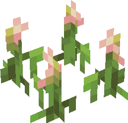 Клевер с листьями