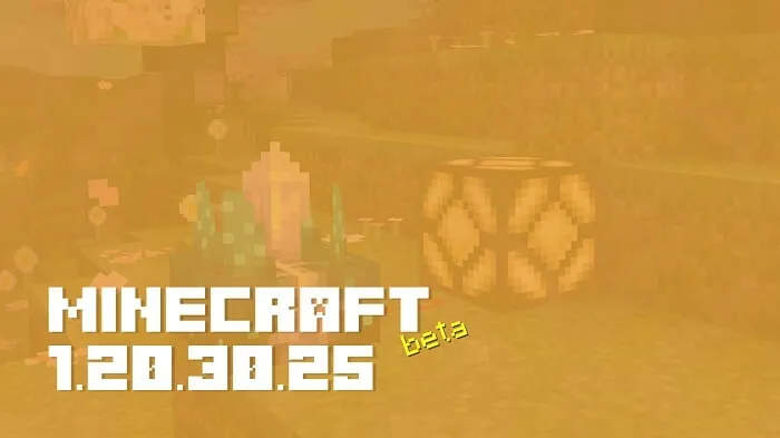 Minecraft 1.20.30.25