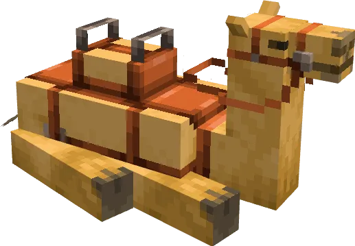 Верблюд лежит