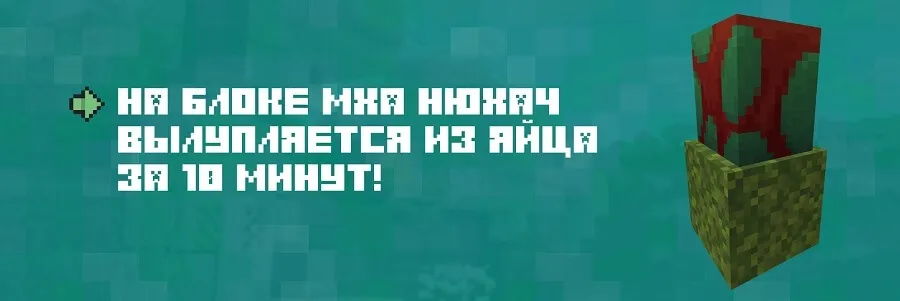 Яйцо Нюхача на Блоке мха