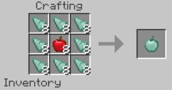 Морское яблоко