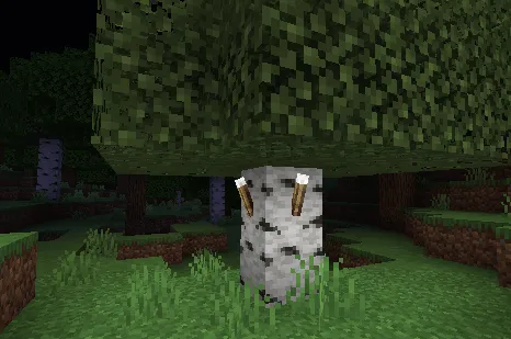 Белые факелы