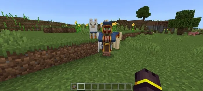 Странствующий торговец