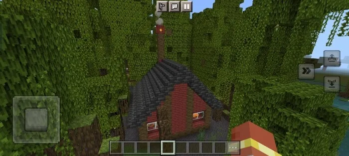 Мангровый дом