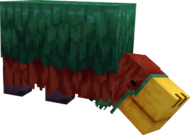 Нюхач ищет семена