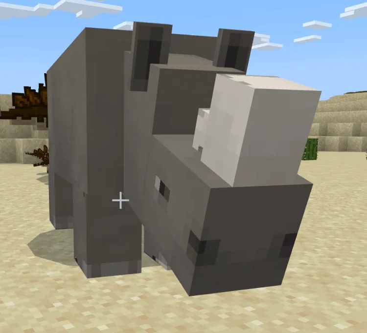 Вид носорога