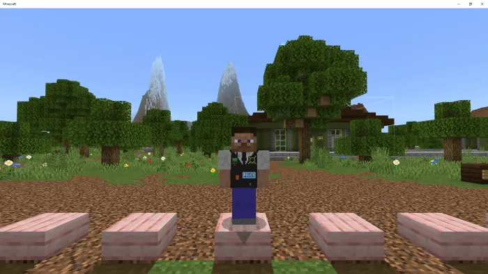 Полицейский жилет