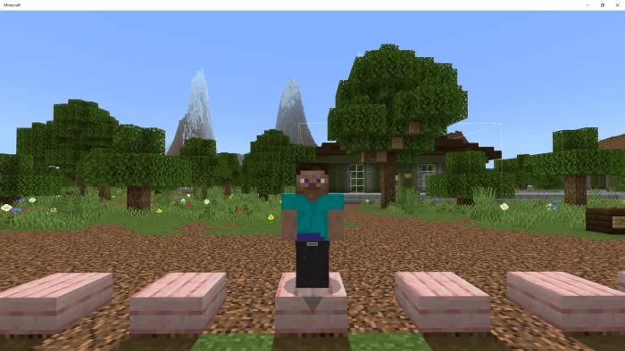 Полицейские штаны