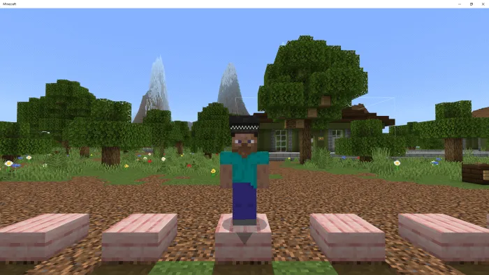 Полицейская шляпа