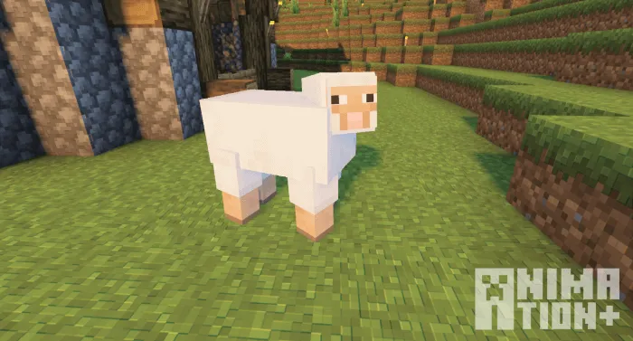 Овца смотрит на игрока