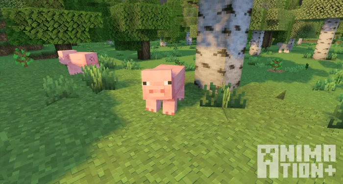 Свинья смотрит на игрока