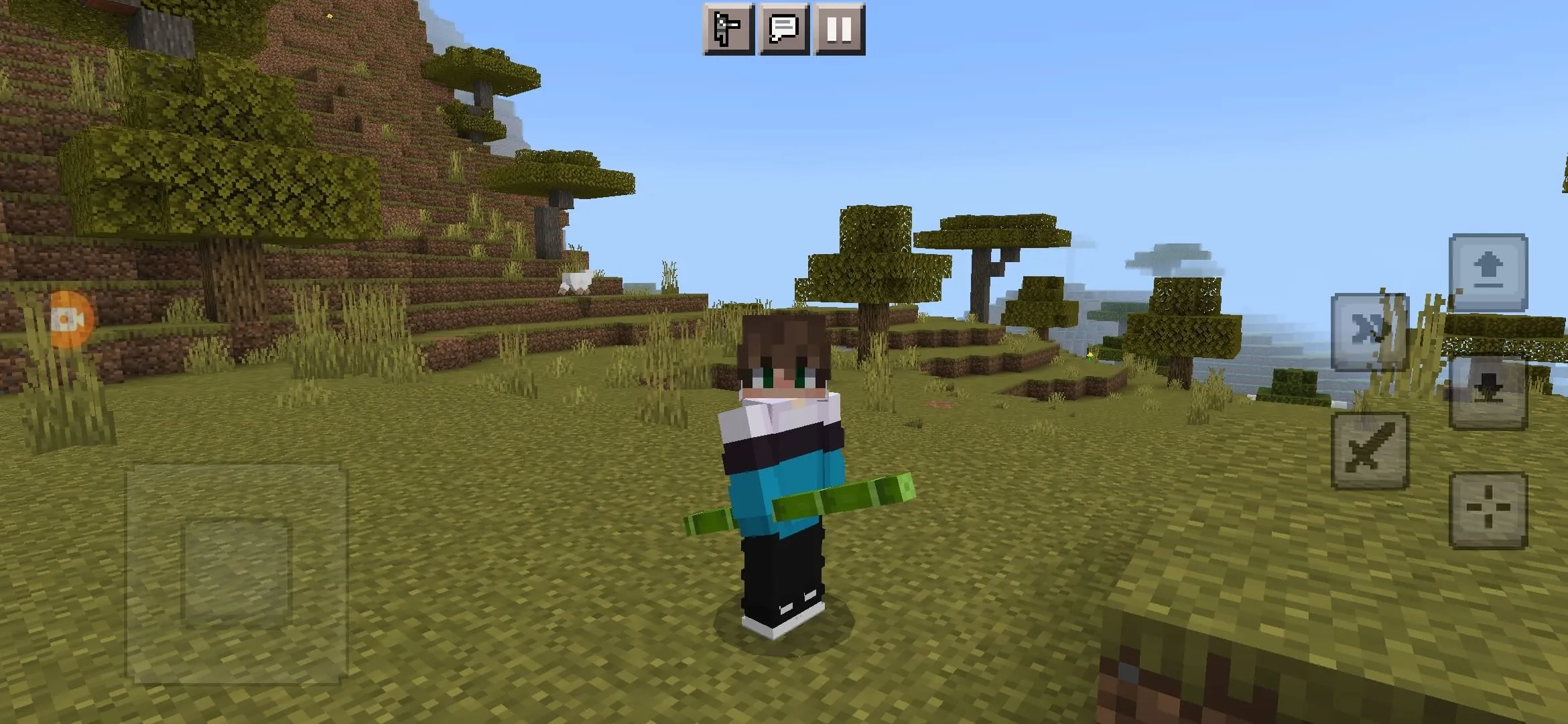 Бамбуковая палка