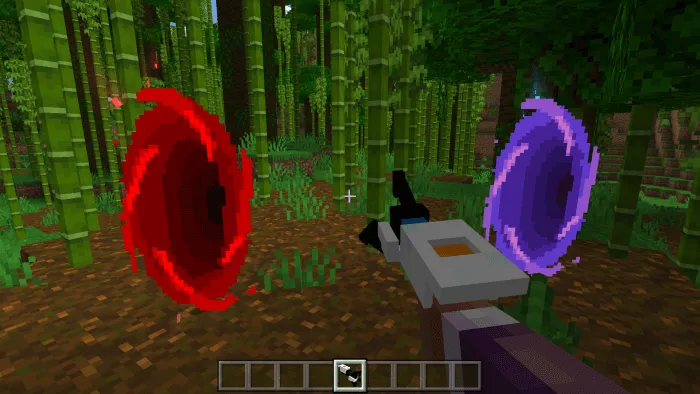 Вид порталов