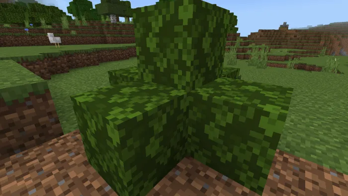 Структура кустарника