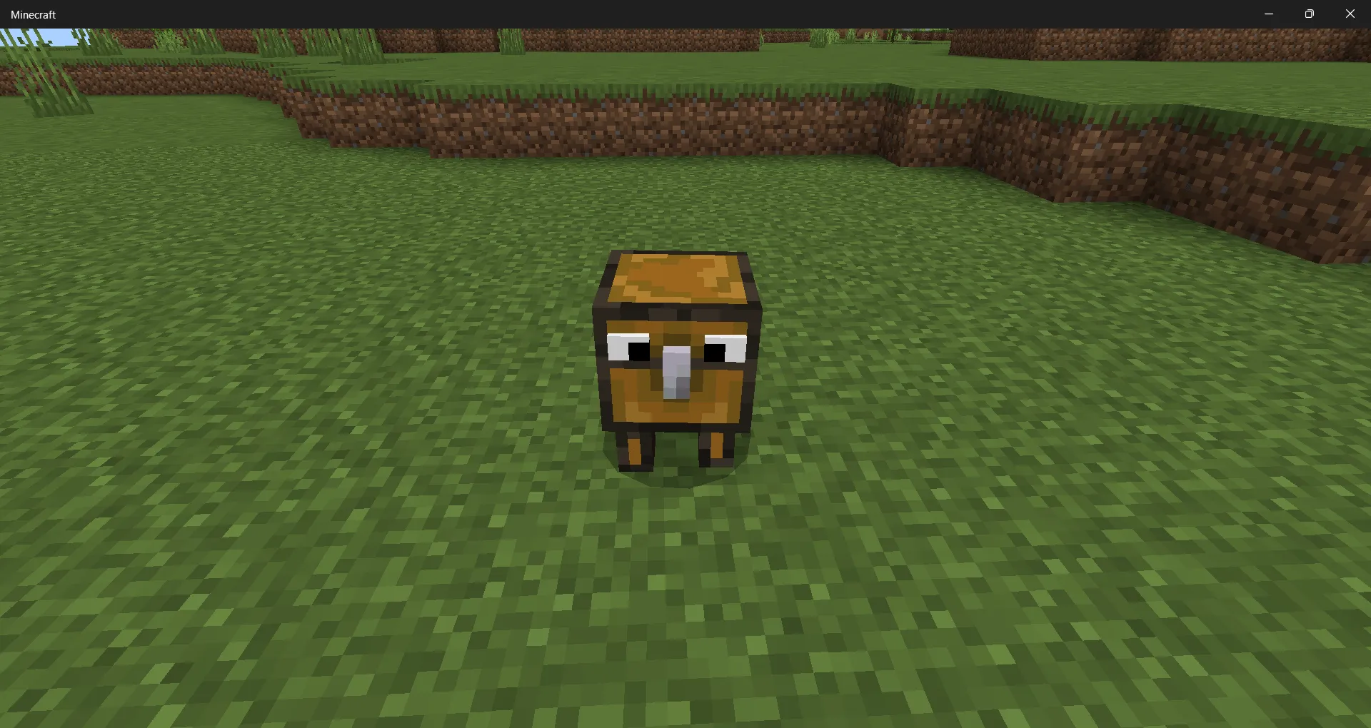 Сумасшедший сундук