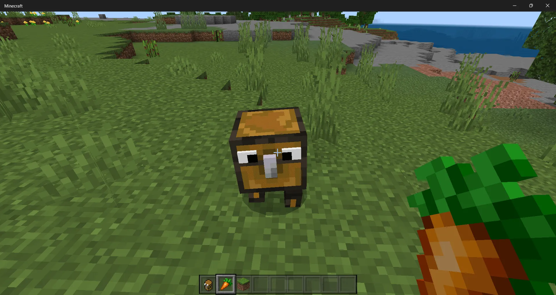 Приручение сундука