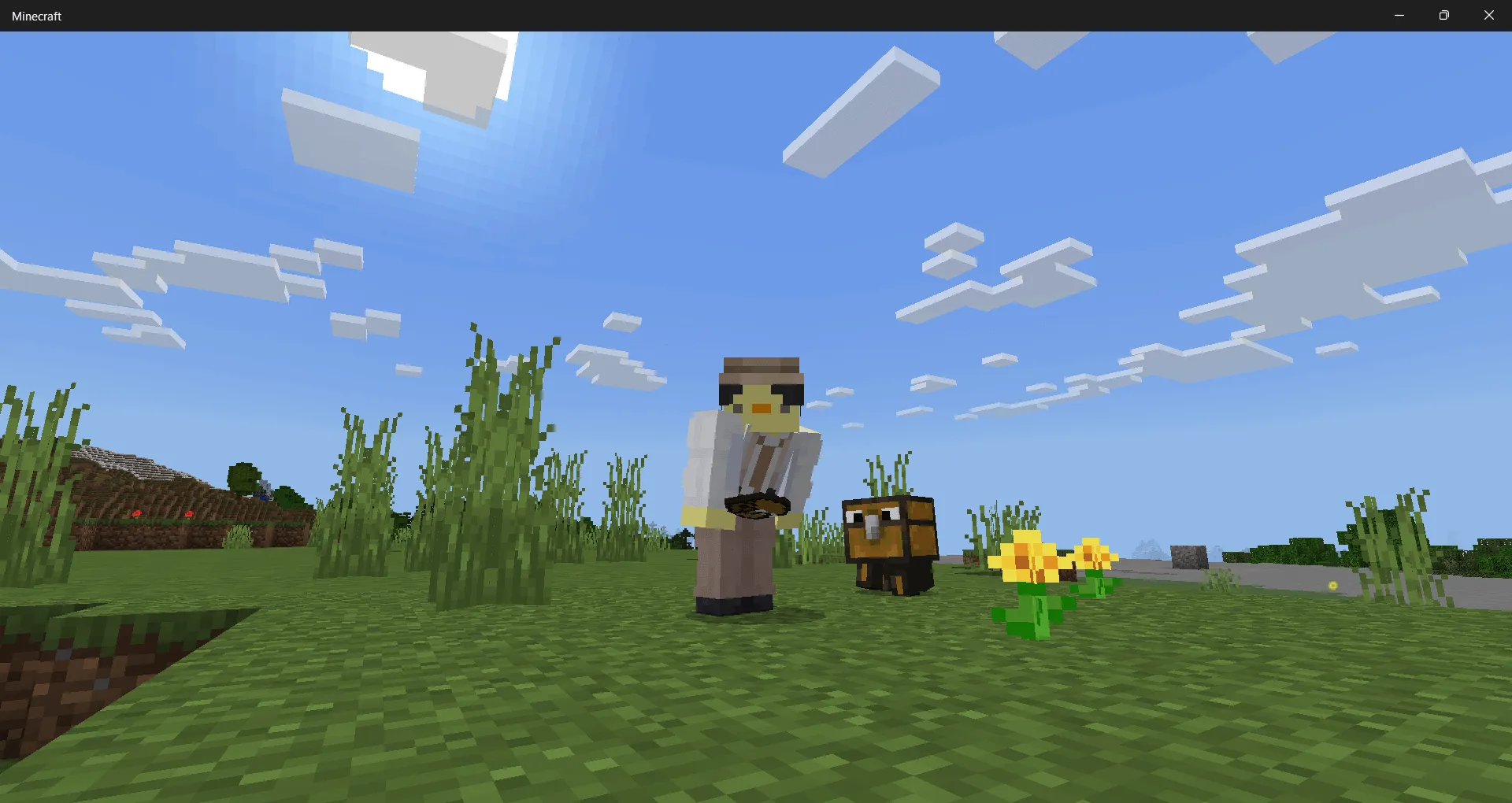 игрок и сумасшедший сундук