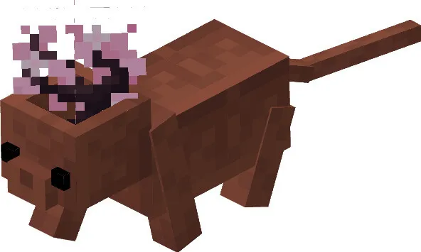 Кот с горшком из вишневого саженца