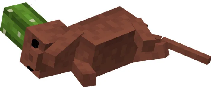 Кот с горшком из кактуса