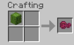 Фруктовый кактус