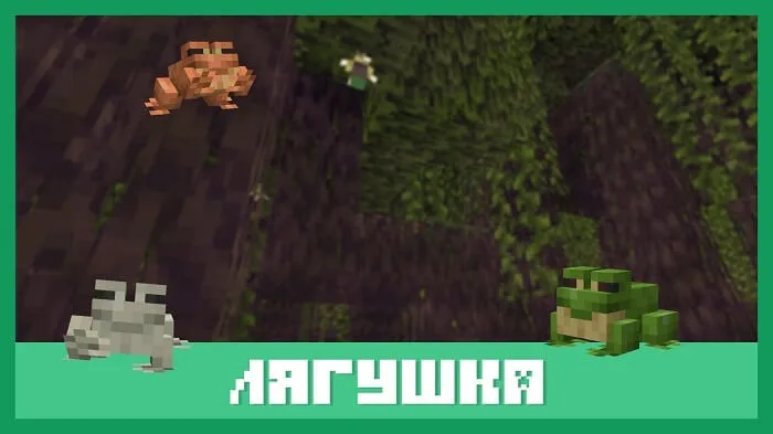 Лягушка [Моб]