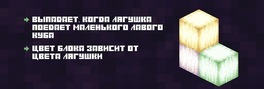 Описание лягушачьего света