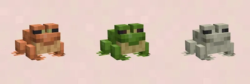 Оранжевая, Зеленая и Белая лягушки