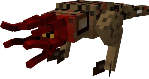 Вид буллсквида