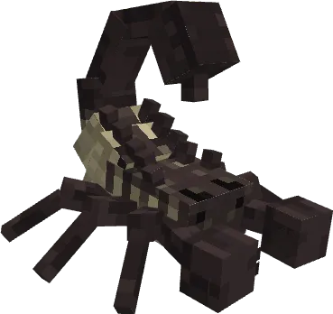 Вид скорпиона