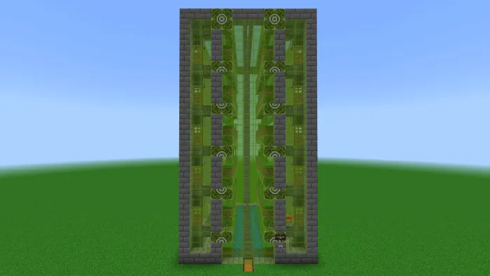 Бамбуковая ферма