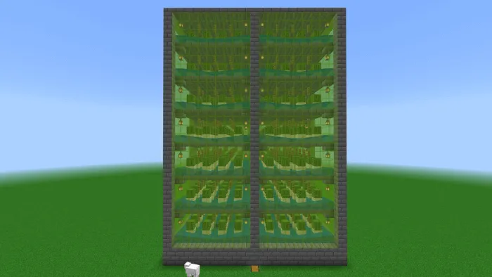 Ферма кактусов