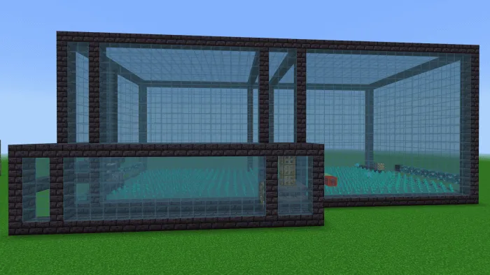 Большая ферма виноградных лоз