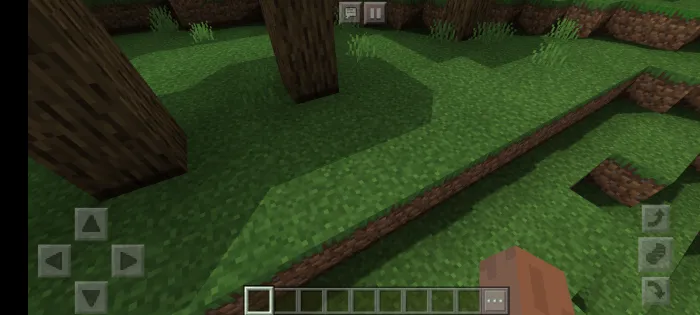 Тень от деревьев