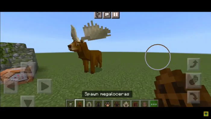 Вид мегалоцероса