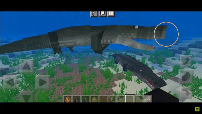 Два крокодила