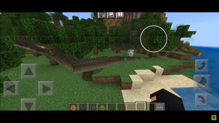 Ящер на суше