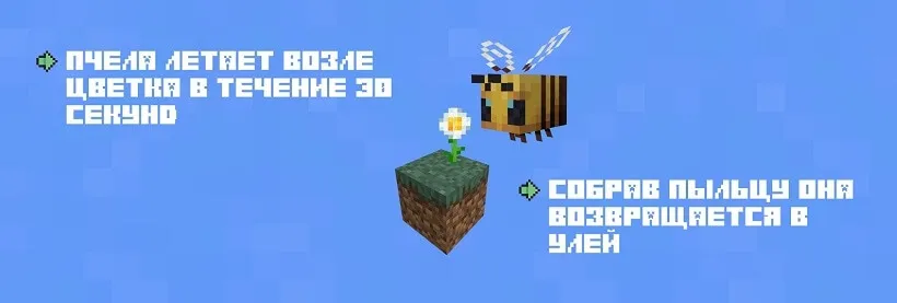 Пчела собирает пыльцу с цветка