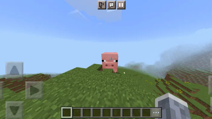 Большая свинья