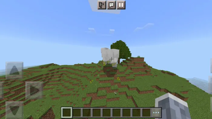 Гигантская овца