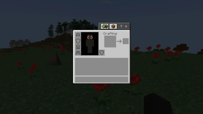 Новый вид инвентаря