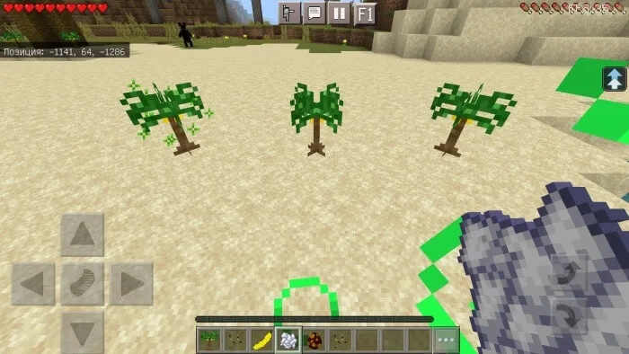 Саженцы пальм