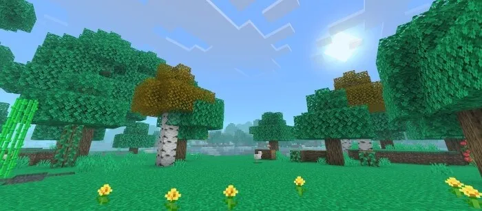 Вид мира днем