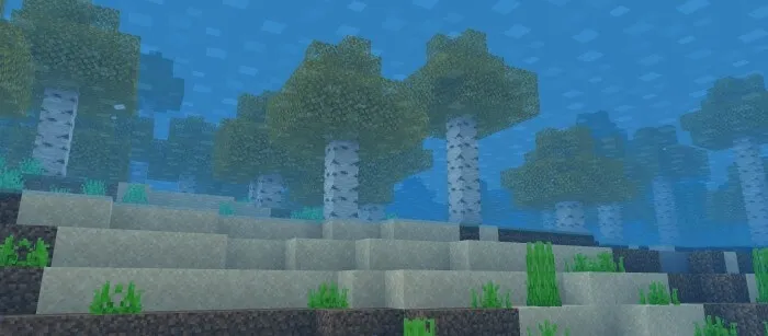 Вид из воды