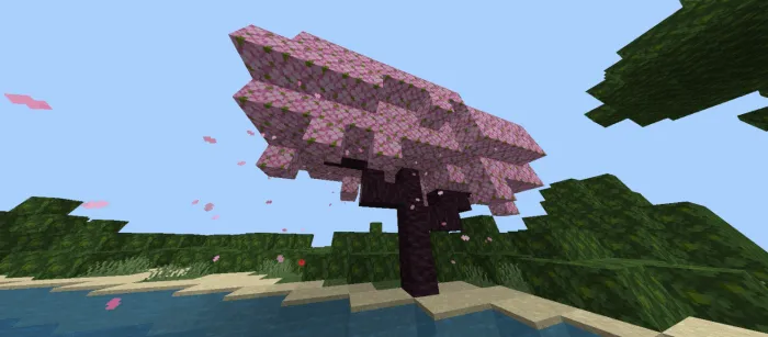 Цветущая вишня